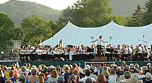 Arts & Culture (Community)